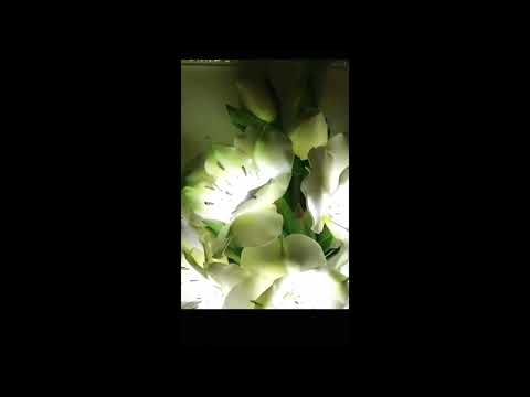 Видео: 3Д Картина Альстромерия #цветыизизолона #shorts #short