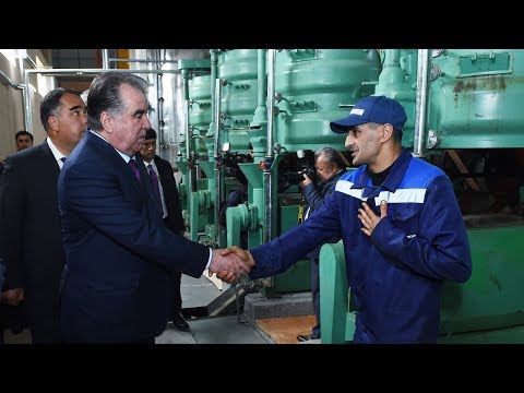 Видео: Корхонаи истеҳсоли равған дар ноҳияи Спитамен / ахбори точикистон имруз