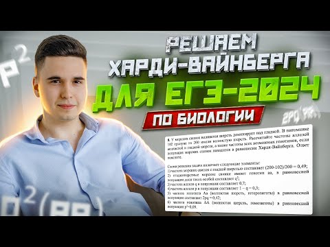 Видео: ПОЛНЫЙ РАЗБОР ХАРДИ-ВАЙНБЕРГА // РЕШЕНИЕ ЗАДАЧ ОТ BioFamily (ЕГЭ-2024 БИОЛОГИЯ)