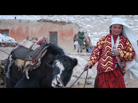 Видео: Көрсөң ыйлайсың / Памирлик кыргыздардын жашоосу / Атайын экспедиция
