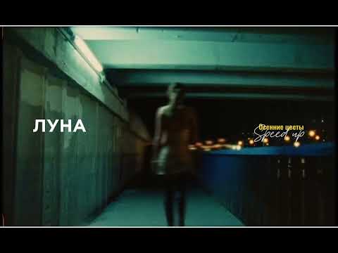 Видео: Луна - Осенние цветы (Speed Up)