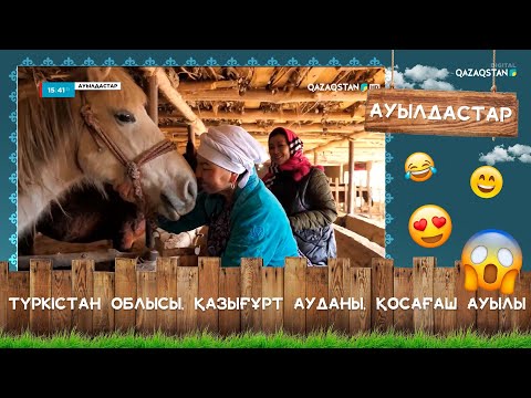 Видео: «Ауылдастар». Түркістан облысы, Қазығұрт ауданы, Қосағаш ауылы