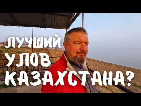 Видео: Хлопок, Рис и Рыба.... Шардара. #вэнлайф #путешествие #казахстан