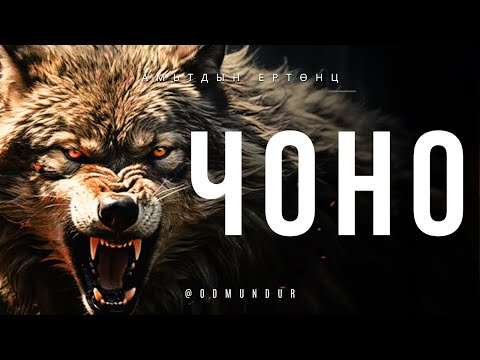 Видео: Чоно - АМЬТДЫН ЕРТӨНЦ