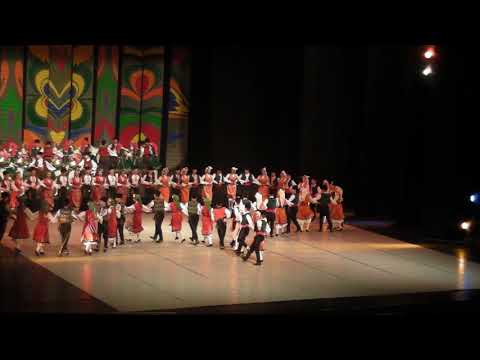 Видео: Копаница (фрагмент) - НУТИ (02.06.2018)