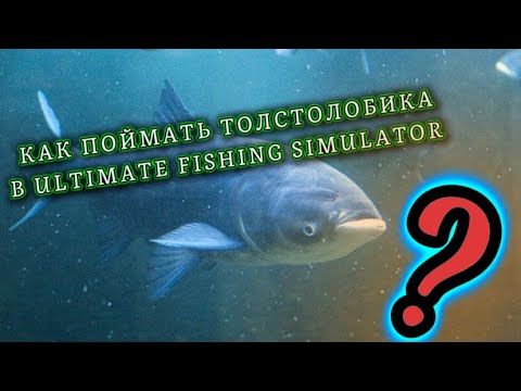 Видео: Как Поймать Толстолобика В Игре ultimate fishing simulator