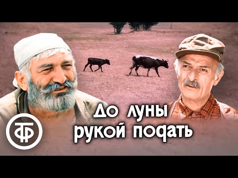 Видео: До луны рукой подать. Добрый трогательный фильм про двух пенсионеров и корову (1986)