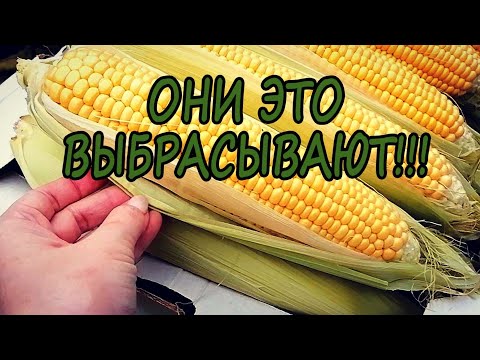 Видео: Забрала весь МУСОР у продавца КУКУРУЗЫ и вот что сделала / Природный материал для творчества ТАЛАШ