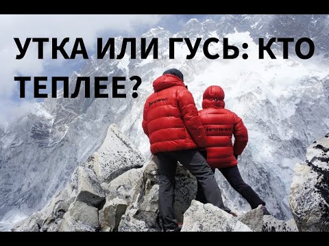 Видео: Почему пуховик не греет? Утиный пух против гусиного: что теплее, легче и пухлее?