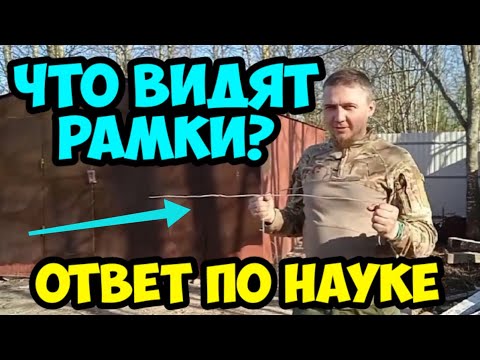 Видео: Что видят рамки на самом деле. Научное объяснение