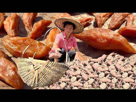 Видео: Древний бабушкин метод приготовления на пару сушеного сладкого картофеля, мягкого