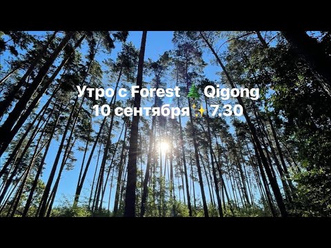 Видео: Осенний 🍂✨ курс для начинающих. Регулярные занятия ( среда и суббота) на канале #ForestQigong 