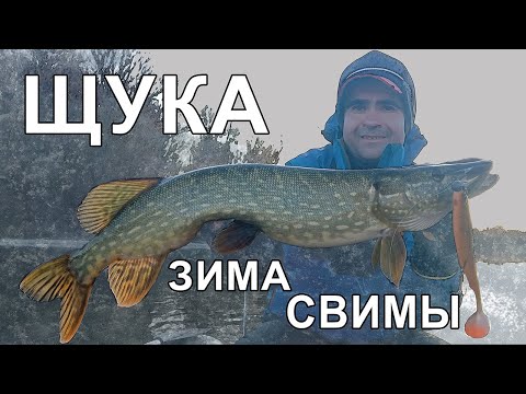Видео: РЫБАЛКА НА ЩУКУ! Трофейная ловля щуки зимой на крупную резину/СВИМБЕЙТЫ