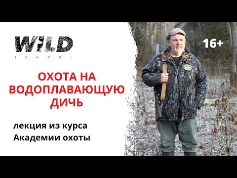 Видео: Охота на водоплавающую дичь