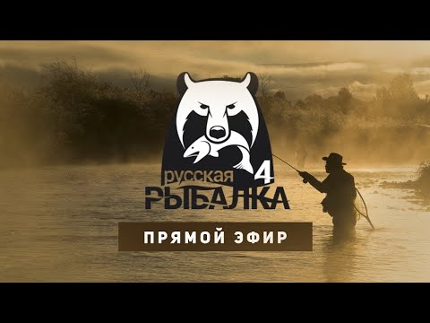 Видео: В поисках крупной рыбы // Русская Рыбалка 4