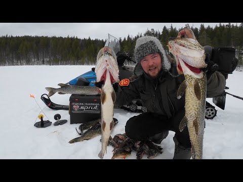 Видео: О ТАКОЙ РЫБАЛКЕ МЕЧТАЕТ КАЖДЫЙ. НАЛОВИЛ БОЛЬШИХ ЩУК НА ЛЕСНОМ ОЗЕРЕ. ЛУЧШАЯ РЫБАЛКА В МИРЕ У ФЕОФАНА