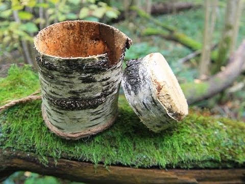 Видео: Simple Birch Bark container - Коробочка из бересты быстро)