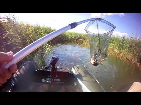 Видео: САРТЛАН ч 3 сазан прёт