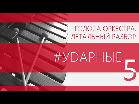 Видео: Ритмичные ударные: пульс симфонического оркестра