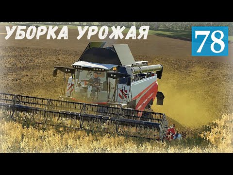 Видео: Farming Simulator 19  - Убираю Урожай - Фермер в совхозе РАССВЕТ # 78