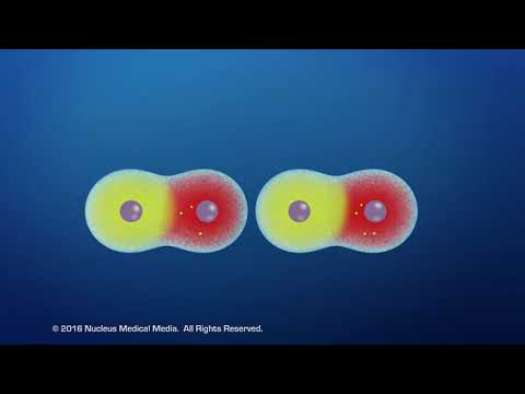 Видео: Силы Ван-дер-Ваальса