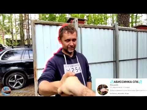 Видео: Абиссинская скважина в белоострове