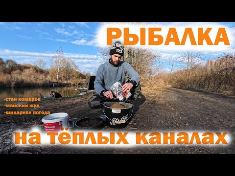 Видео: Рыбалка на тёплых каналах "Белоозёрска"