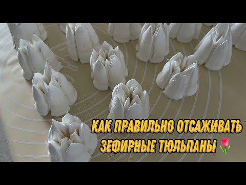 Видео: КАК ПРАВИЛЬНО ОТСАЖИВАТЬ ЗЕФИРНЫЕ ТЮЛЬПАНЫ