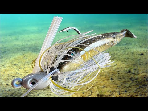 Видео: Если бы я только раньше узнал о предстоящем ежегодном заплыве на джиггинге