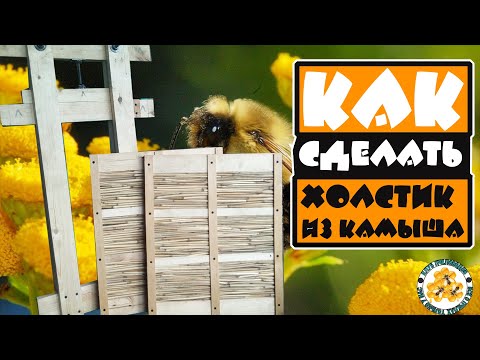 Видео: ✅Как сделать холстик из камыша