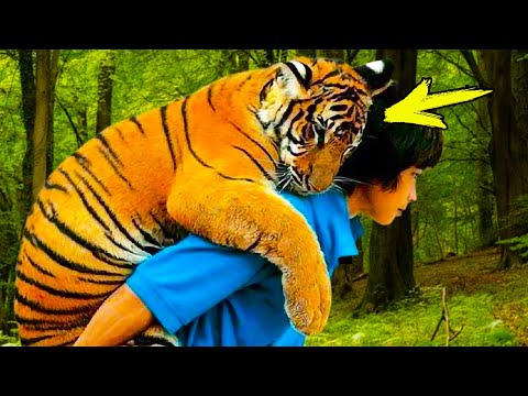 Видео: Этот умирающий тигр кричал о помощи. То, что произошло дальше, невероятно