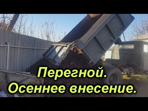 Видео: Осеннее внесение перегноя -очень важное действие.