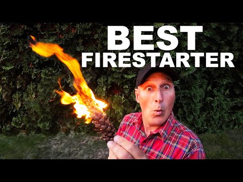 Видео: РАЗЖИГАТЕЛЬ... ПОДХОДЯТ ЛИ СОСНОВЫЕ ШИШКИ ДЛЯ РАЗЖИГАНИЯ КОСТРА?