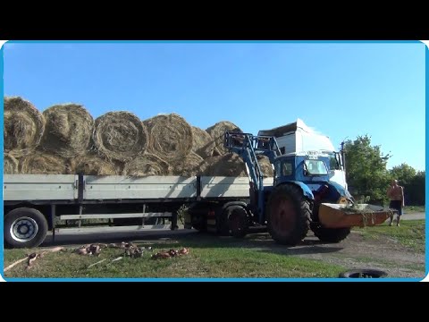 Видео: ПРИВЕЗЛИ СЕНО ЗА 100км ТАКОГО ЕЩЁ НЕ БЫЛО! ЖИЗНЬ В ДЕРЕВНЕ, МЯСНЫЕ ЧИПСЫ В ТЕРМОКАМЕРЕ Hobbi Smoke