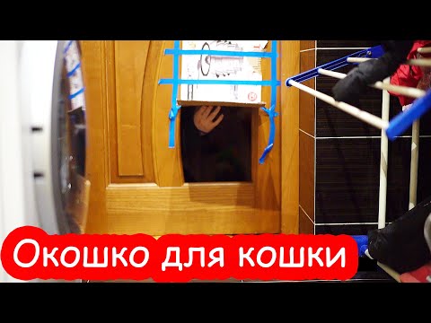 Видео: VLOG Вот это да