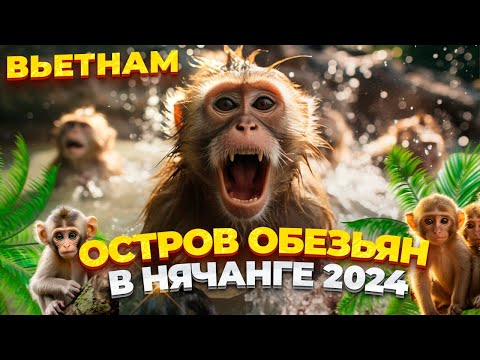 Видео: ЧТО ПОСМОТРЕТЬ ВО ВЬЕТНАМЕ? ОСТРОВ ОБЕЗЬЯН В НЯЧАНГЕ! СЕВЕРНЫЕ ОСТРОВА НЯЧАНГ. ДОСТОПРИМЕЧАТЕЛЬНОСТИ