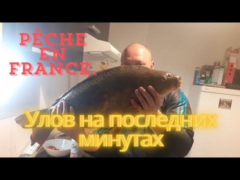 Видео: РЫБАЛКА ВО ФРАНЦИИ. Монстр КАРП 5.700 кг Тулуза
