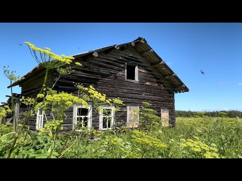 Видео: Таежная изба. Ремонт, Рыбалка, Ответы подписчикам. Часть 2