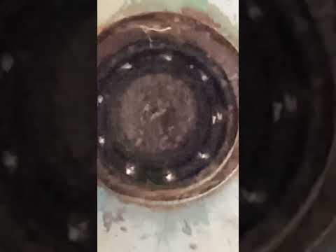 Видео: Картофельный комбайн anna z-644