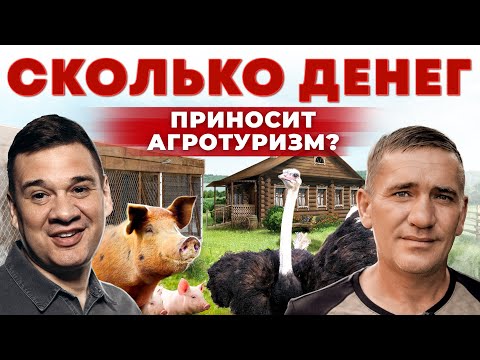 Видео: Заработок на мини-фермах | 50 видов кур, свиньи и экзотические животные | Андрей Даниленко