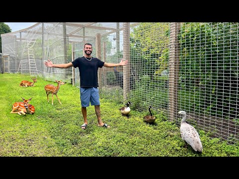 Видео: У нас есть ИНТЕРЕСНЫЕ новости на РАНЧО!!