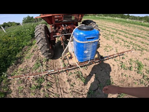 Видео: Сделал самодельный опрыскиватель! Проверяю на картофельном поле на тракторе Т-25!