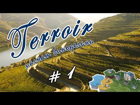 Видео: Terroir #1 - Прохождение | Да будет вино!