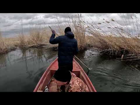 Видео: Балхаш. Рыбалка в Дельте реки Или. 3 Часть. Хищник не АКТИВЕН