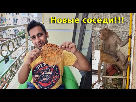 Видео: Паратха с сыром -индийская лепешка с начинкой - рецепт | Обезьяны пришли в гости |