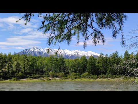 Видео: Колымский край .Реки Хета-Малтан-Бахапча-Колыма.2024 год.