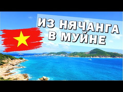 Видео: Из Нячанга в Муйне. Бухта Винь Хи и Вкуснейший виноград.  #нячанг2024 #вьетнам2024 #муйне2024