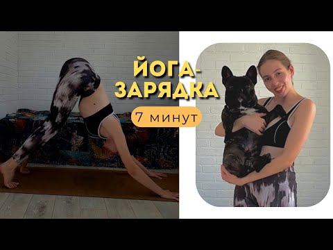 Видео: Йога 7 минут// йога для занятых// зарядка для быстрого пробуждения// утренняя растяжка// бодрое утро