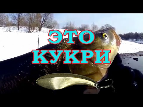 Видео: Блесна КУКРИ