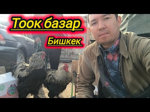 Видео: Тоок базар. Бишкек #тоокбазар #итбазар #малбазар #жаймабазар #барахолка #дакан